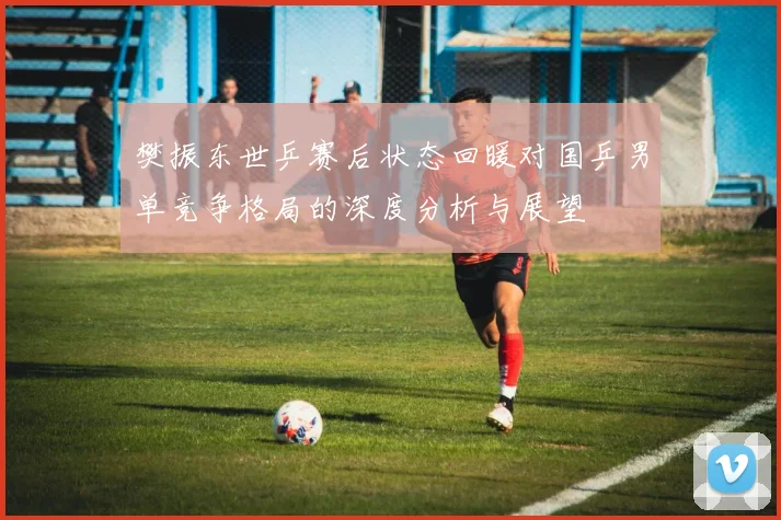 樊振东世乒赛后状态回暖对国乒男单竞争格局的深度分析与展望